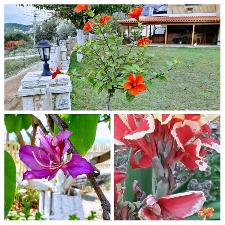 Agrotourism Himara Hotel Buitenkant foto